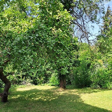 Nostalgie-Nest Mit Boxspringbett Mayen Exterior foto