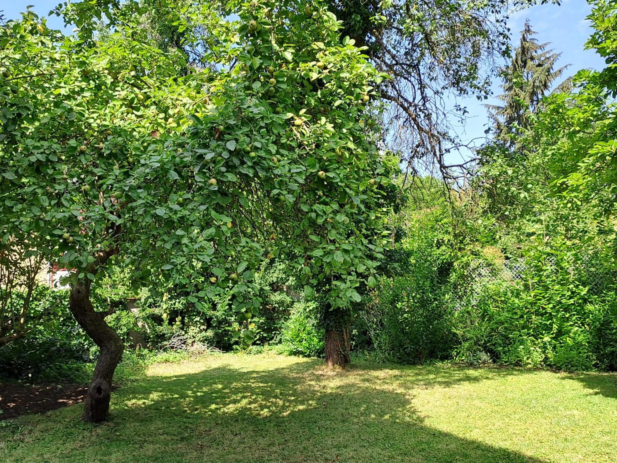 Nostalgie-Nest Mit Boxspringbett Mayen Exterior foto